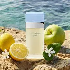 DOLCE & GABBANA-LIGHT BLEU Edt FEMME 100 ml – Image 3